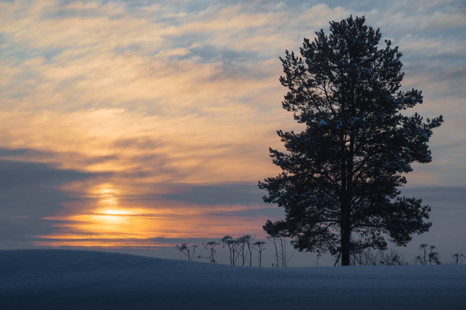 пейзаж, природа, зима, снег, рассвет, республика коми, Mysov Ivan