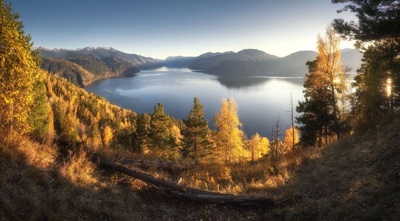 алтай, горный алтай, пейзажи алтая, горное озеро, золотая осень, горы, осенний алтай, горная тайга, турочакский район Золотое озеро фото превью
