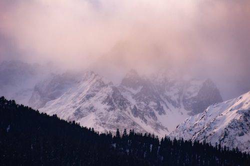 Розовый рассвет