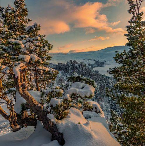 Плато Лаго-Наки