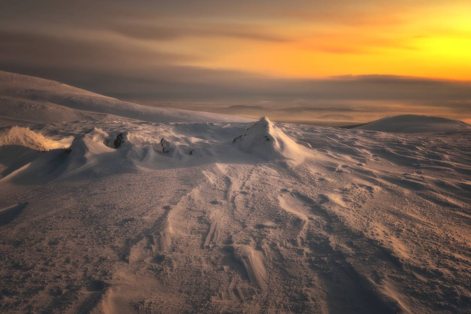 , Алексей Никонов