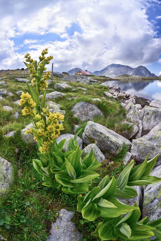 landscape, bulgaria, mountain, nikon  фото превью