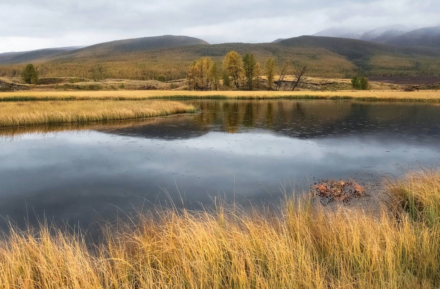 алтай, джангысколь, непогода, осень, Фомина Марина