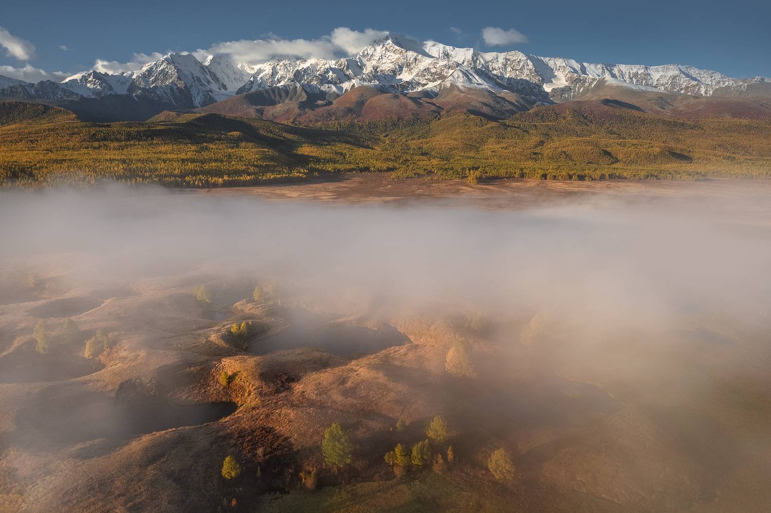 , Дмитрий Купрацевич