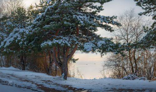 Наполняясь энергией Природы