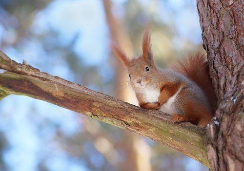 В ожидании маны небесной 