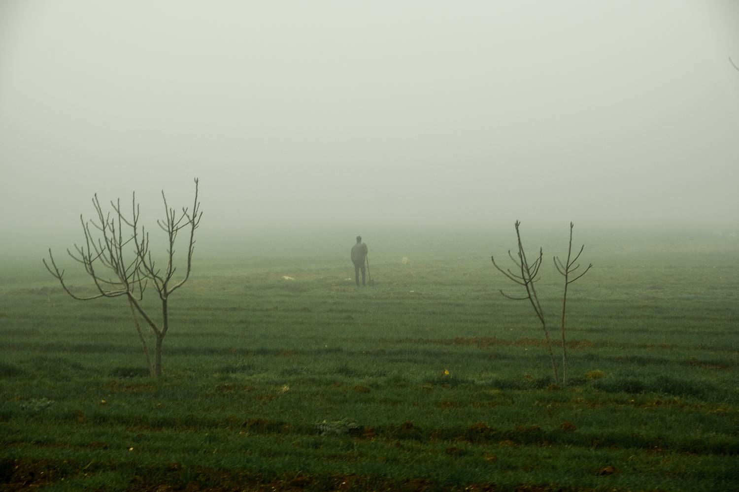 , Александр По