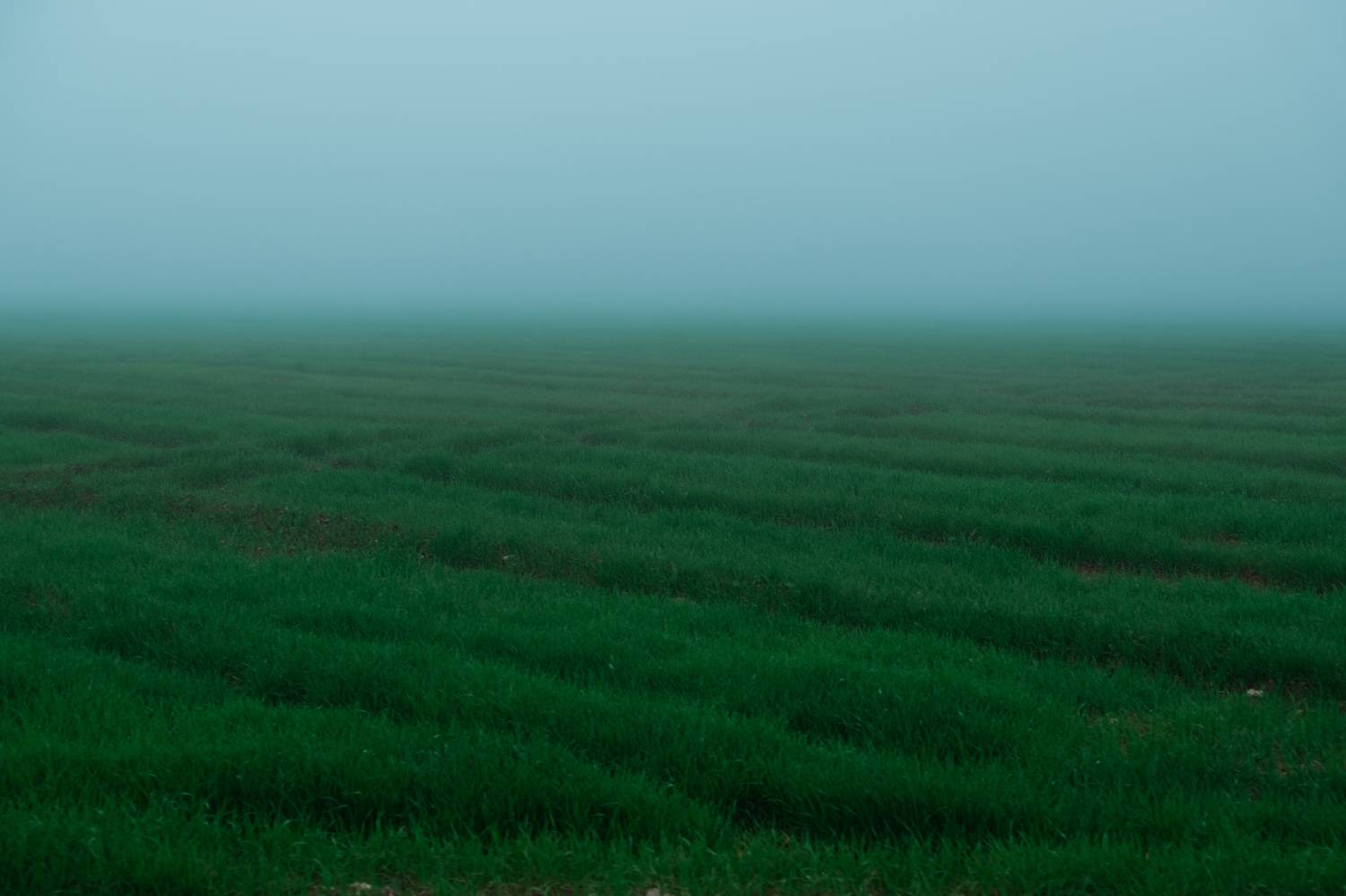 , Александр По