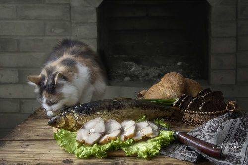 Натюрморт с копченым омулем и вездесущей Бусей