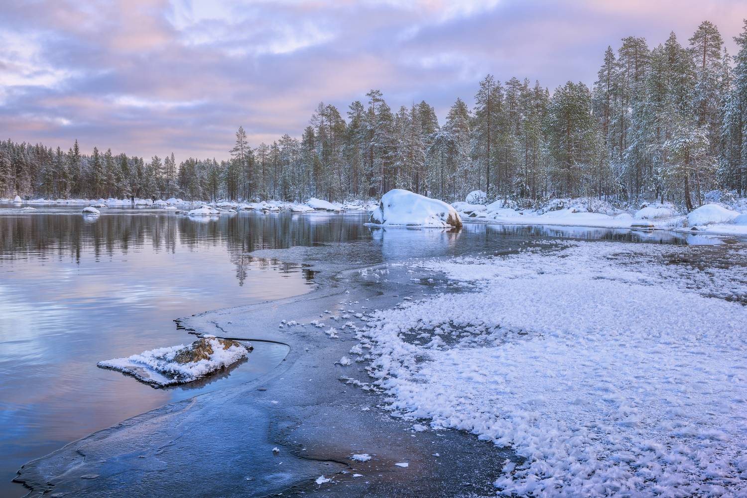 , Максим Евдокимов