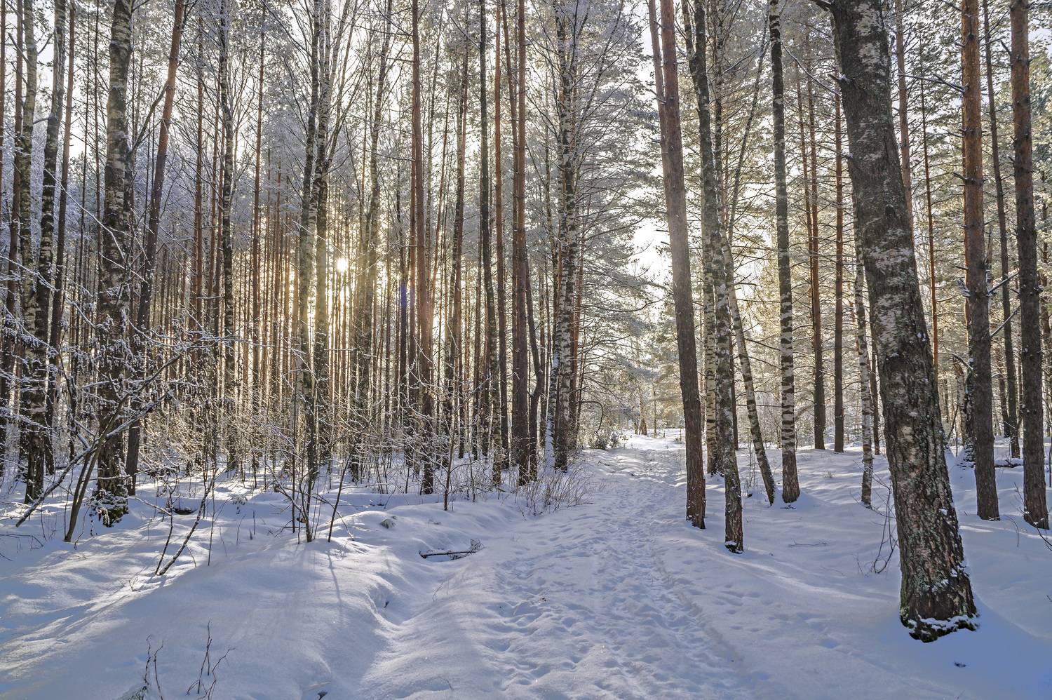 , Шитов Александр