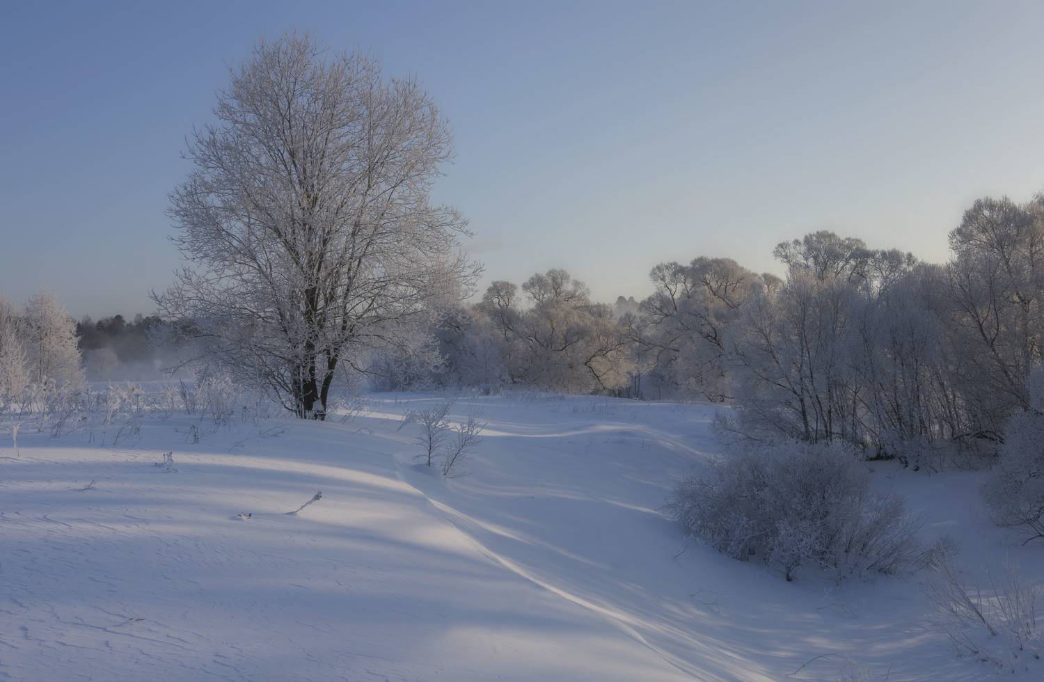 зима, Olga Bonina