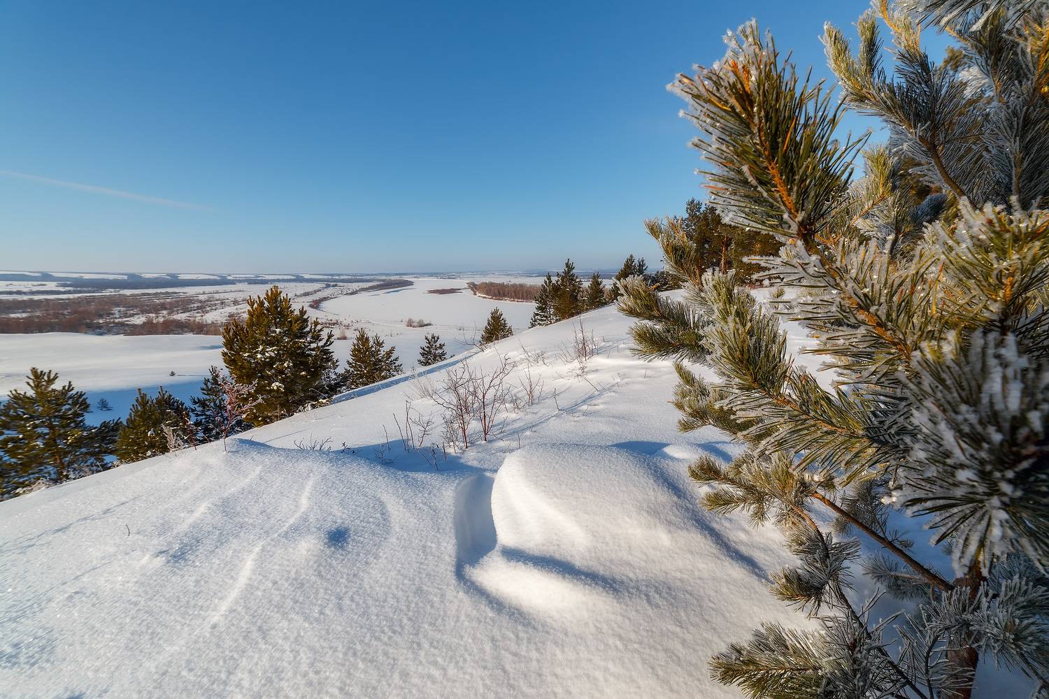 , Никитин Алексей