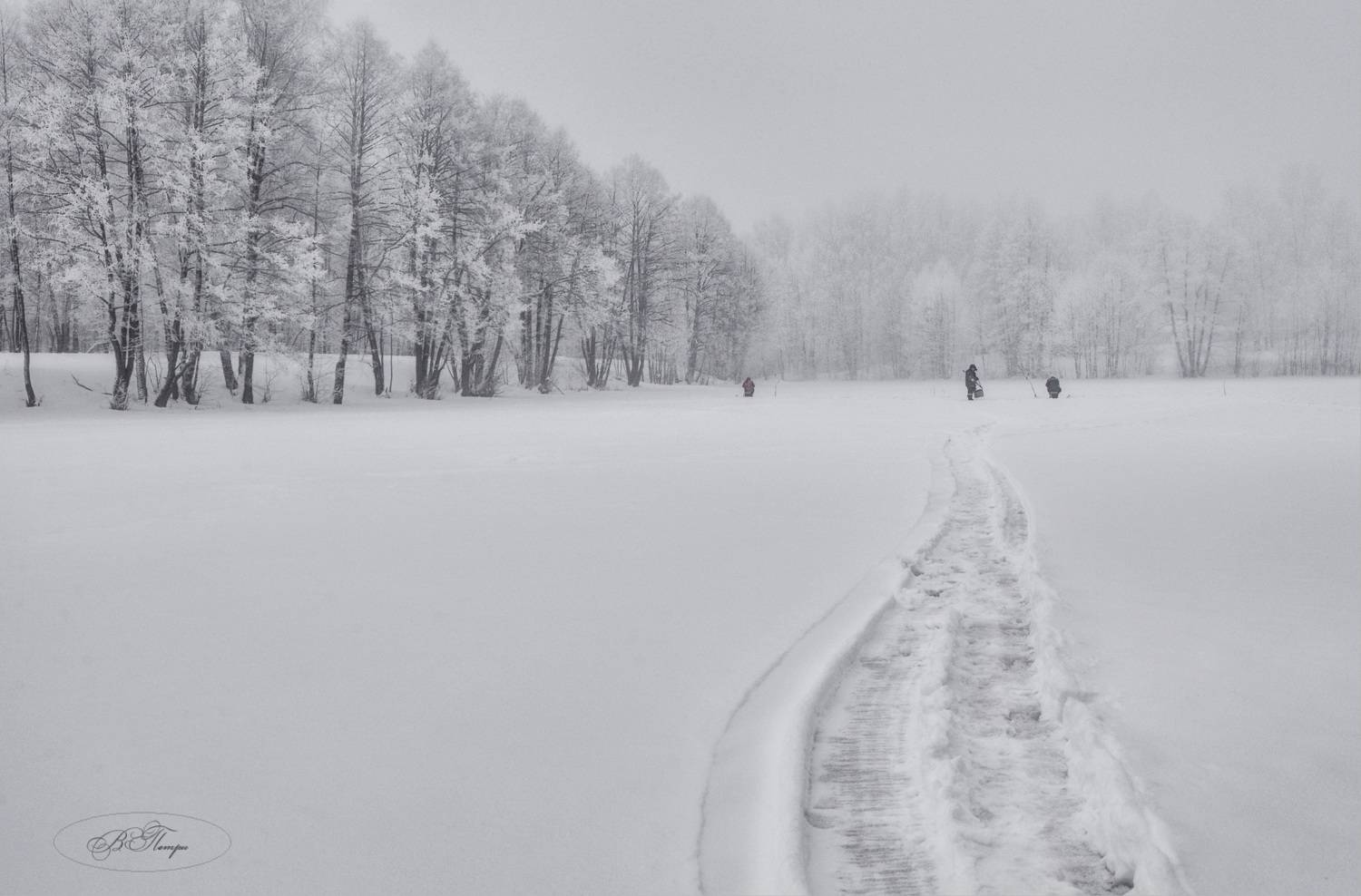 пруд рыбаки деревья иней путь, Вера Петри