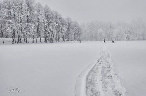 Зимний пруд