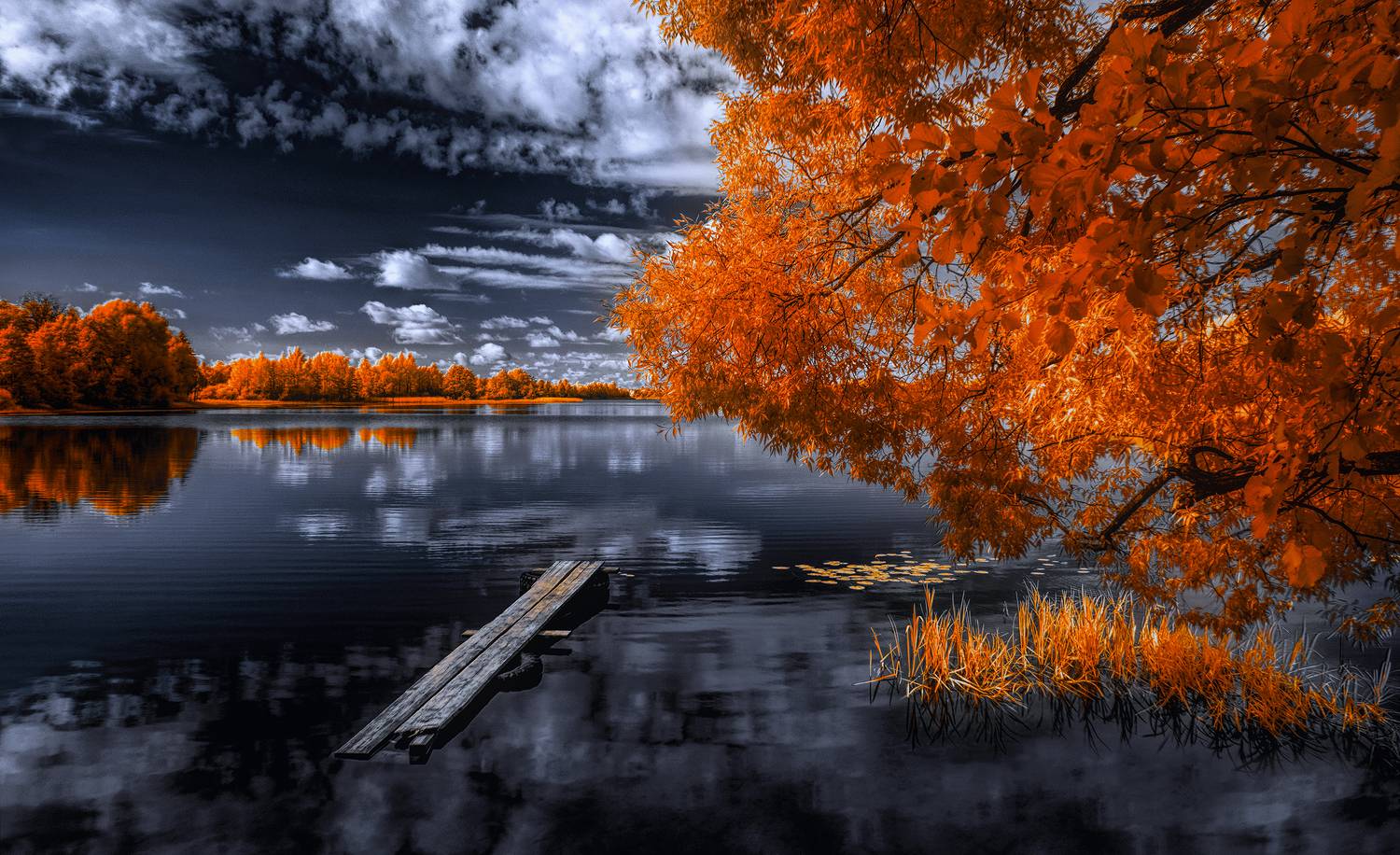 infrared,ик-фото,инфракрасное фото, инфракрасная фотография, пейзаж, лето,  Sixten (Сергей)