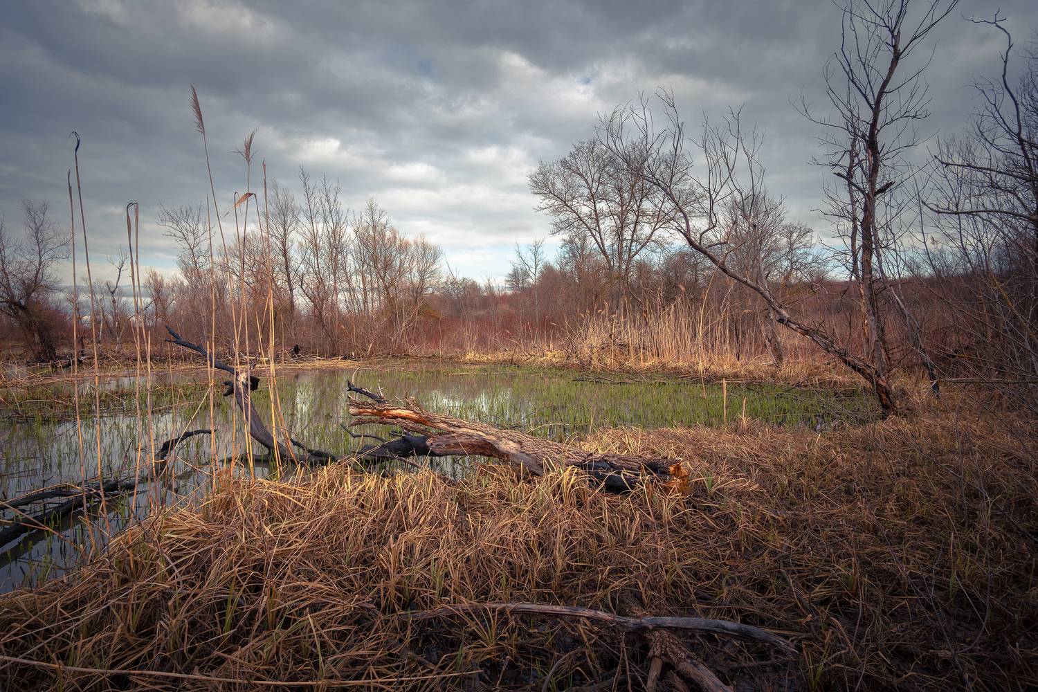 , Вадим Коваленко
