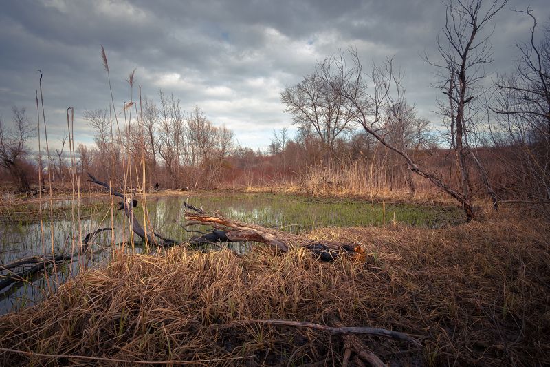 Предчувствие весны фото превью