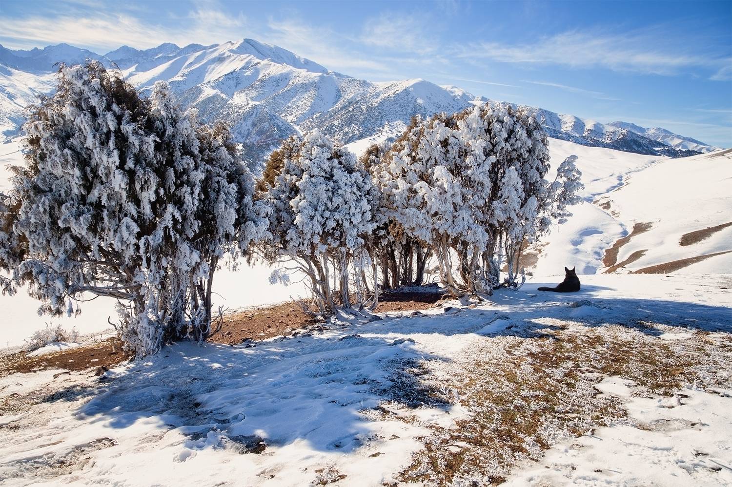 кыргызстан, урочище чункурчак, Элина Магалимова