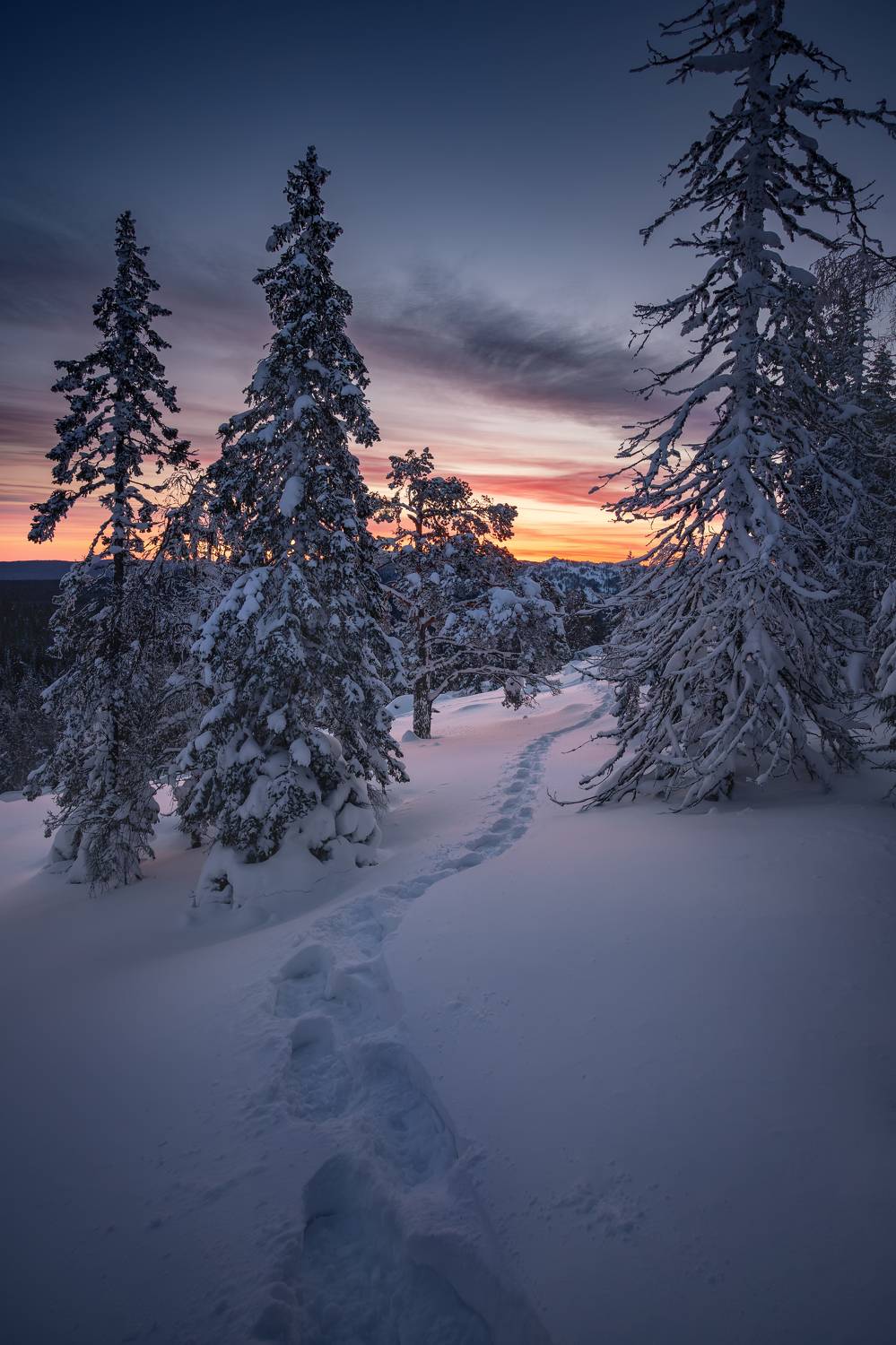 , Козаченко Алексей