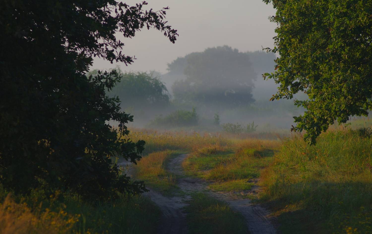 , Шляга Сергей