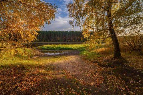Золотая осень на маленькой речке