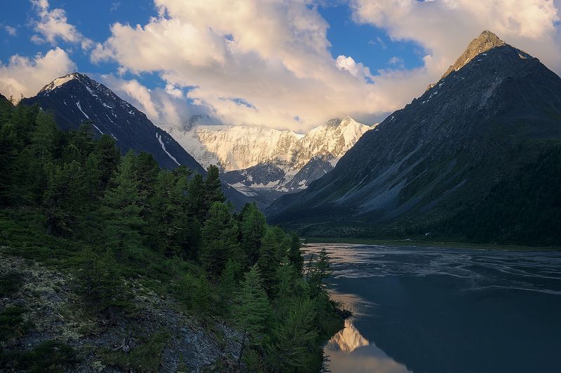 Лес у горы Белуха фото превью