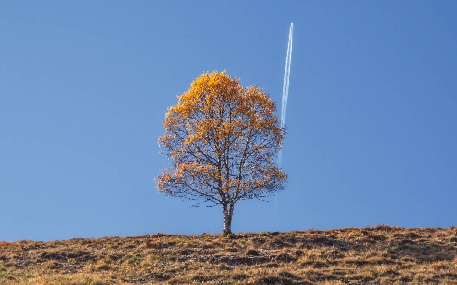 кчр, береза, самолет, осень, Круль Александр