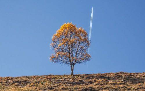 Осенний рейс