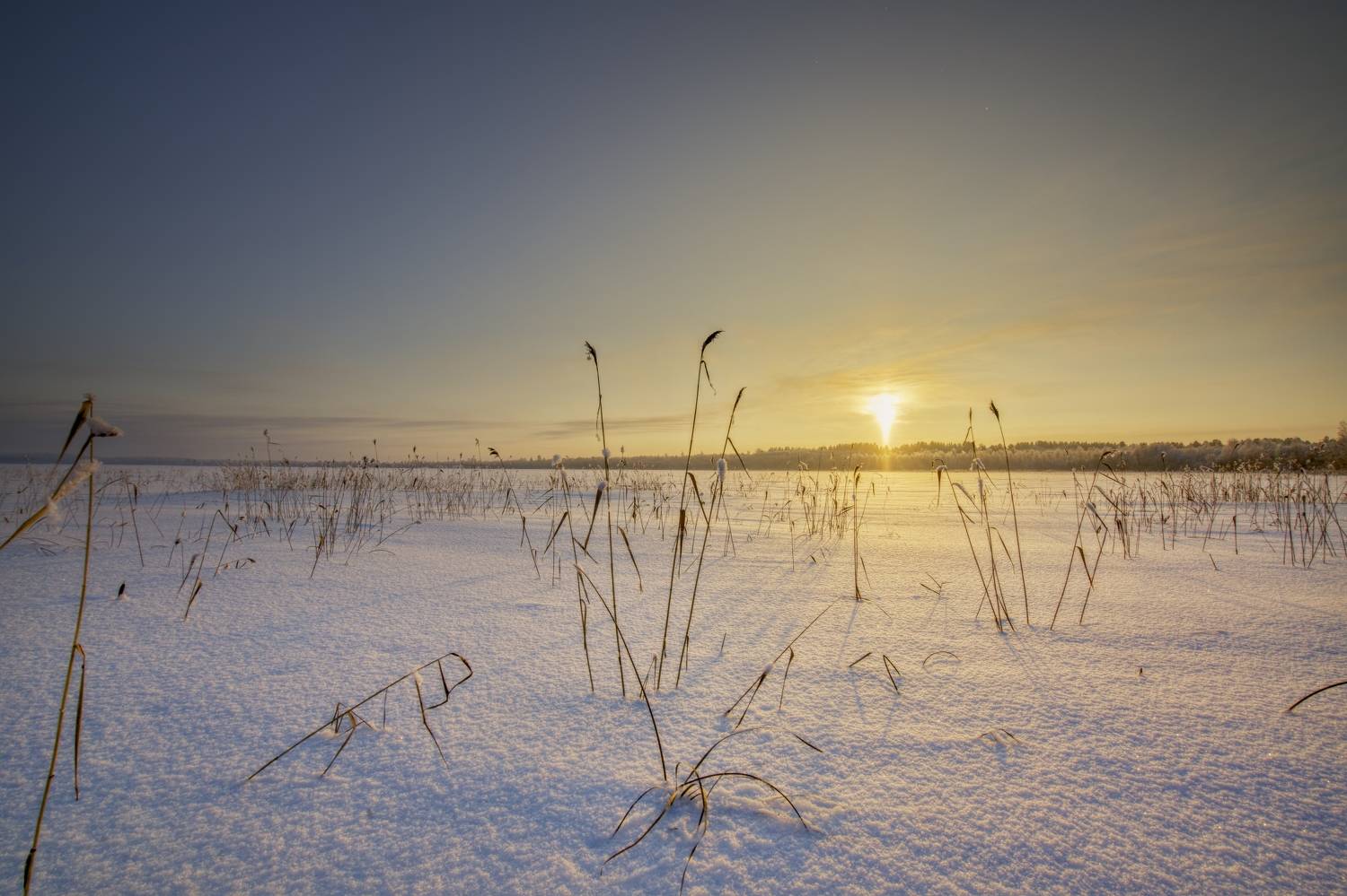 , Шишпанов Игорь