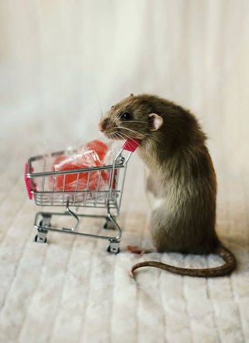 Happy Valentine's Day