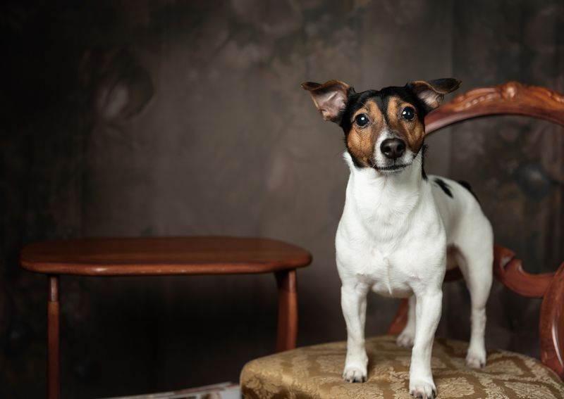 Арти фото превью