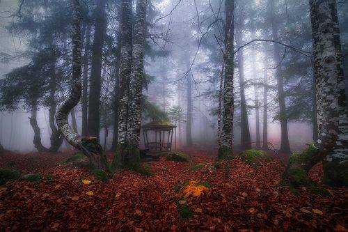 Alone with yourself / Наедине с собой