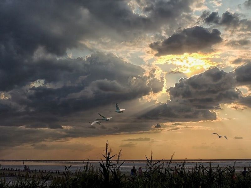 Осень фото превью