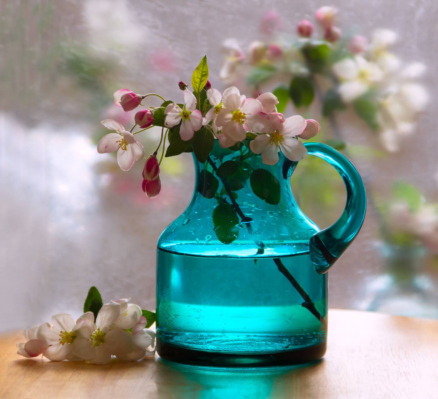 натюрморт,весна,макро,цветы,флора,листья,яблоня,лепестки,этюд,кувшин,антонина яновска, Антонина Яновска