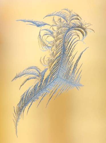 Ледяной дракон