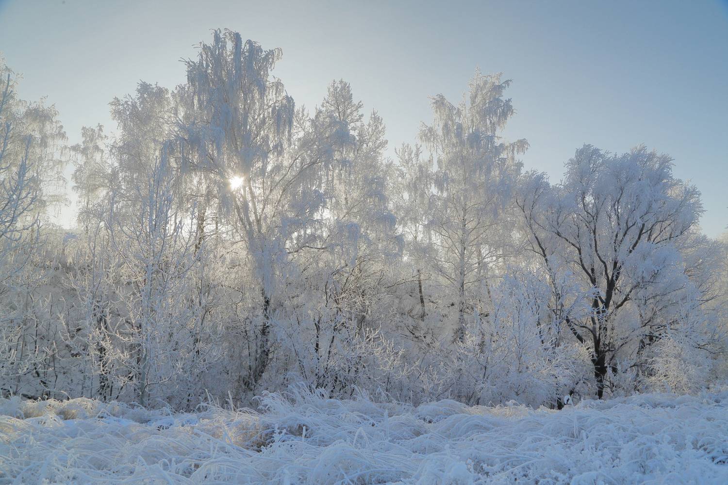 , Евгений Зинов