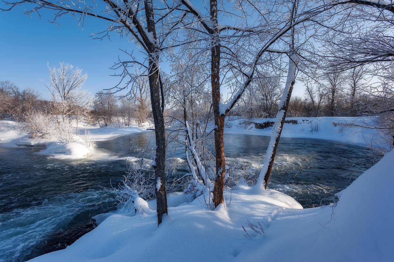 , Никитин Алексей