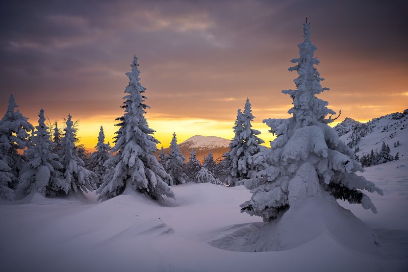 Февральский багрянец фото превью