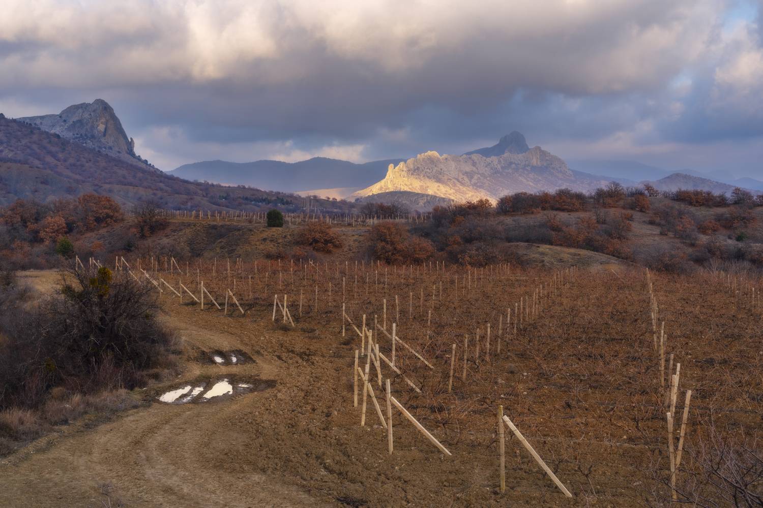 , Юлия Мальцева