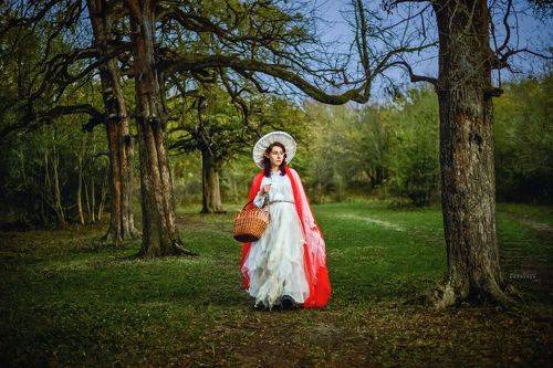 Зачарованный лес