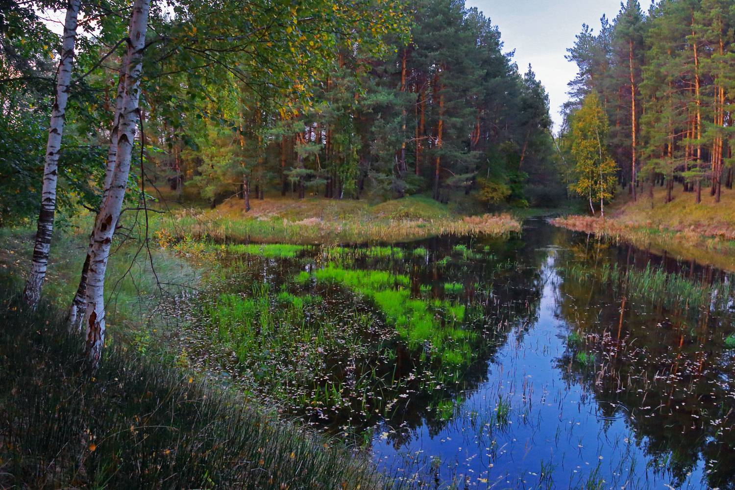 , Юрий Дёмин