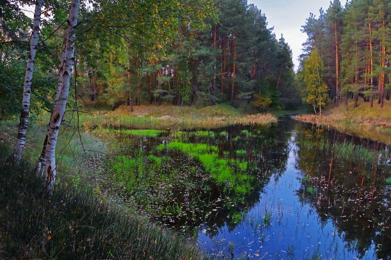 *** фото превью