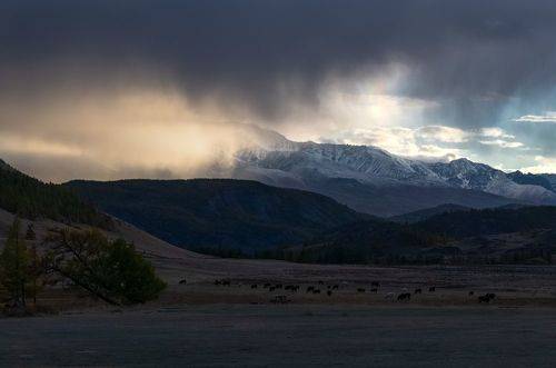 Дождь в горах