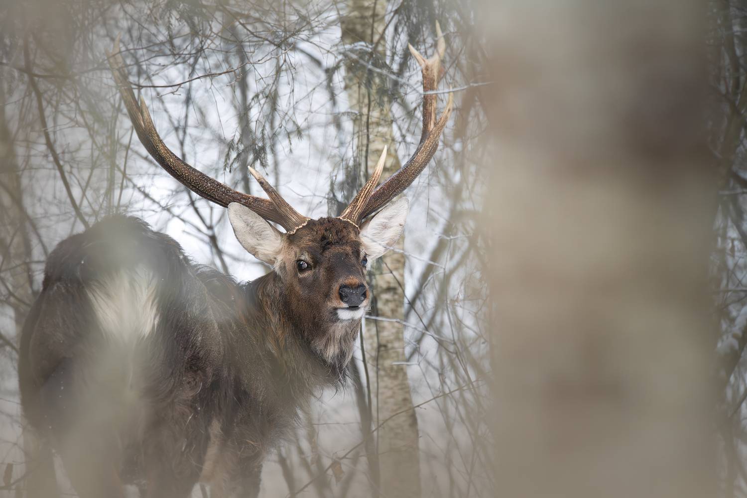 , Митин Дмитрий