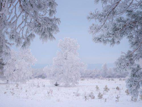 Тихий зимний вечер. / Silent winter evening.