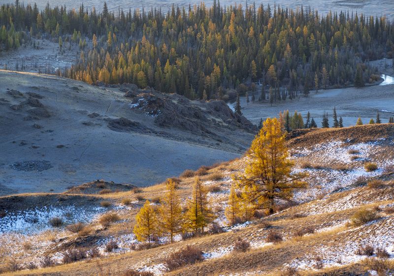 Алтайская осень фото превью