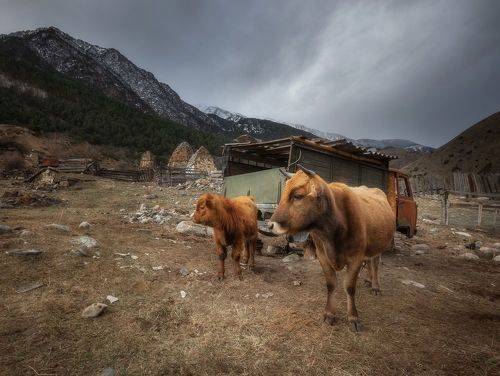 Осетинская пастораль