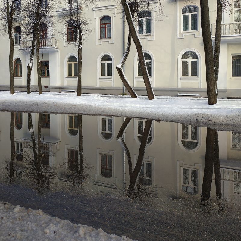 витебск, зима, снег, лужа, деревья Ритмы зимы фото превью