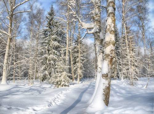 Солнечный день